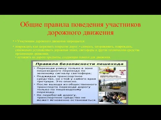 Общие правила поведения участников дорожного движения • Участникам дорожного движения