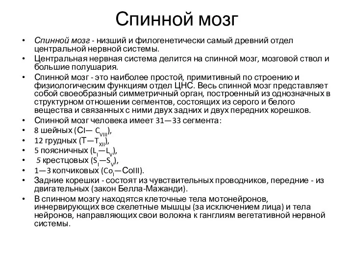 Спинной мозг Спинной мозг - низший и филогенетически самый древний