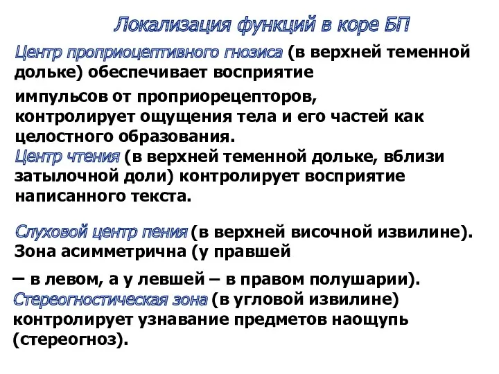 Центр проприоцептивного гнозиса (в верхней теменной дольке) обеспечивает восприятие Локализация