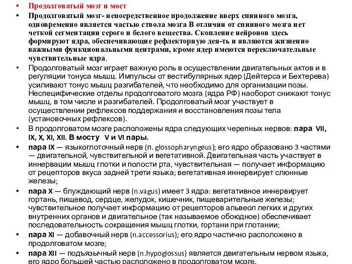 Продолговатый мозг и мост Продолговатый мозг- непосредственное продолжение вверх спинного