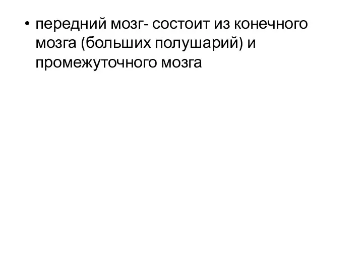 передний мозг- состоит из конечного мозга (больших полушарий) и промежуточного мозга