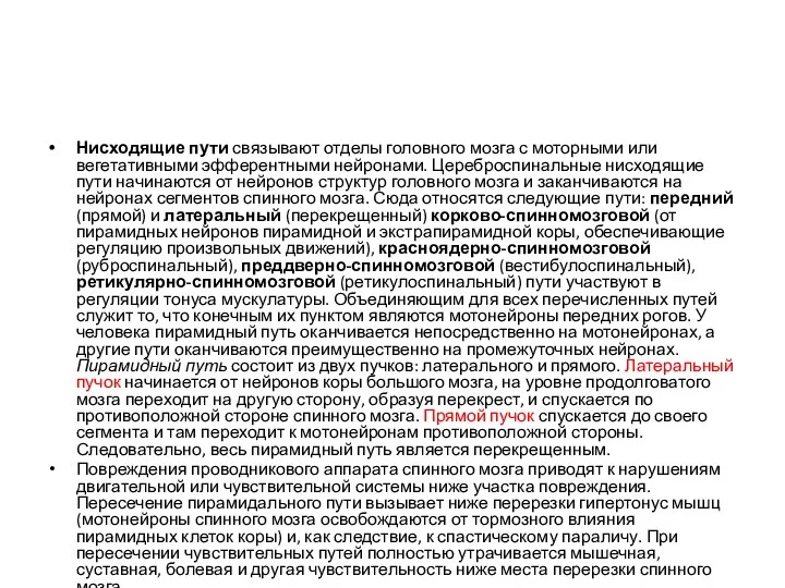 Нисходящие пути связывают отделы головного мозга с моторными или вегетативными