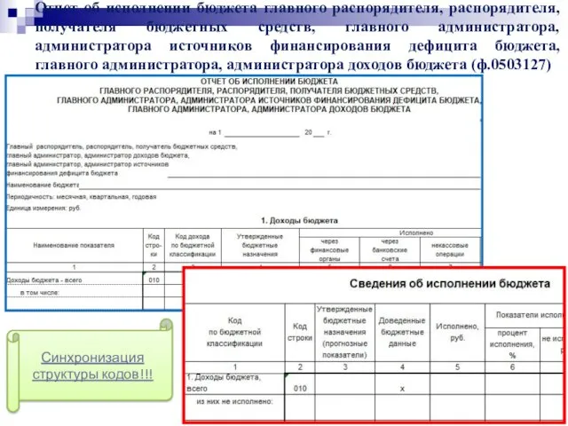 Отчет об исполнении бюджета главного распорядителя, распорядителя, получателя бюджетных средств,