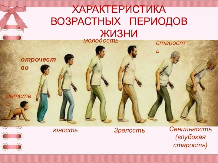 ХАРАКТЕРИСТИКА ВОЗРАСТНЫХ ПЕРИОДОВ ЖИЗНИ Сенильность (глубокая старость) детство отрочество юность молодость Зрелость старость