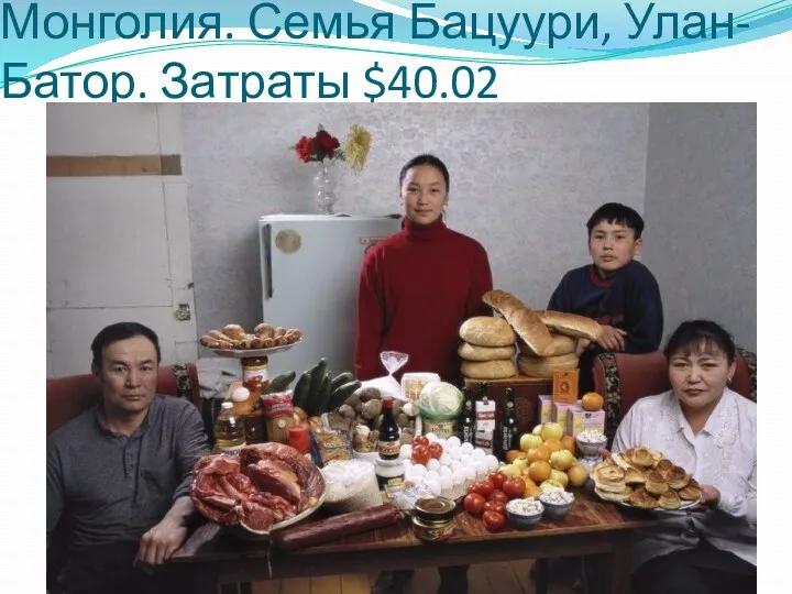 Монголия. Семья Бацуури, Улан-Батор. Затраты $40.02
