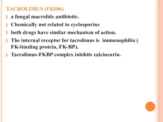 TACROLIMUS (FK506) a fungal macrolide antibiotic. Chemically not related to cyclosporine both drugs