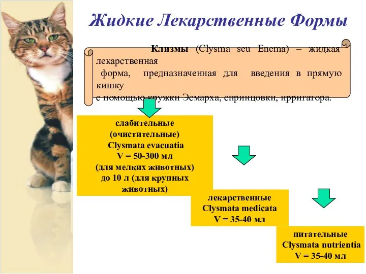 Жидкие Лекарственные Формы Клизмы (Clysma seu Enema) – жидкая лекарственная