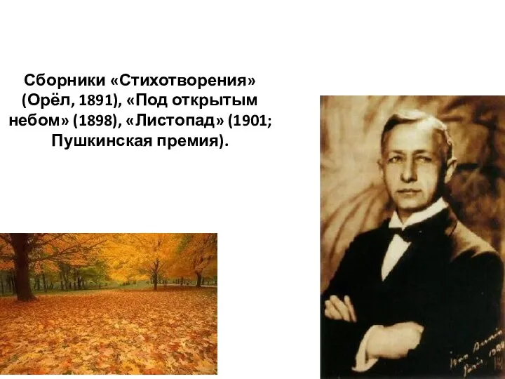 Сборники «Стихотворения» (Орёл, 1891), «Под открытым небом» (1898), «Листопад» (1901; Пушкинская премия).