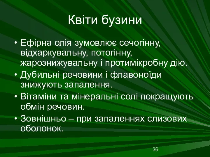 Квіти бузини Ефірна олія зумовлює сечогінну, відхаркувальну, потогінну, жарознижувальну і