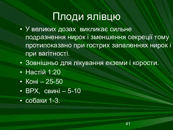 Плоди ялівцю У великих дозах викликає сильне подразнення нирок і