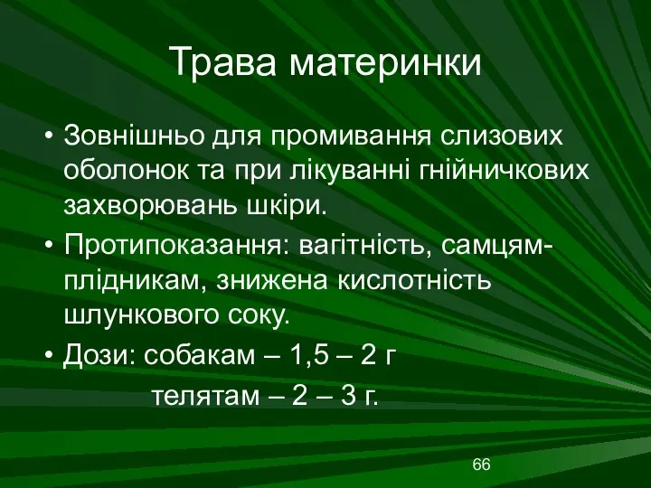 Трава материнки Зовнішньо для промивання слизових оболонок та при лікуванні