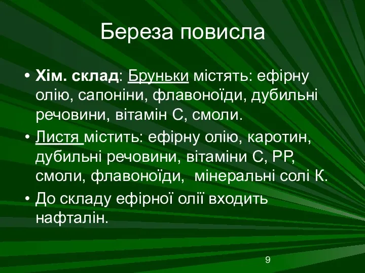 Береза повисла Хім. склад: Бруньки містять: ефірну олію, сапоніни, флавоноїди,