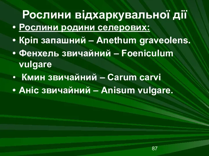 Рослини відхаркувальної дії Рослини родини селерових: Кріп запашний – Anethum