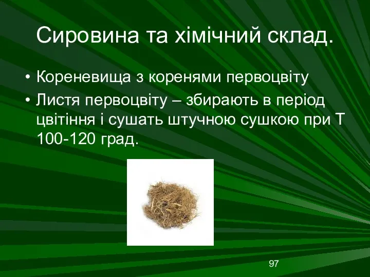 Сировина та хімічний склад. Кореневища з коренями первоцвіту Листя первоцвіту