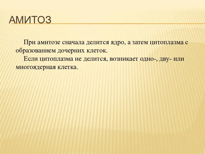 При амитозе сначала делится ядро, а затем цитоплазма с образованием