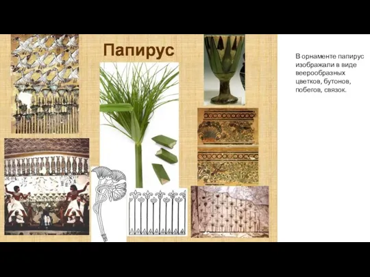 В орнаменте папирус изображали в виде веерообразных цветков, бутонов, побегов, связок.