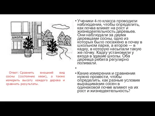 Ученики 4-го класса проводили наблюдения, чтобы определить, как почва влияет