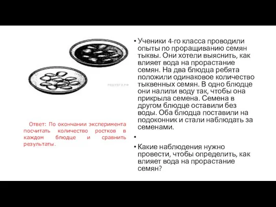 Ученики 4-го класса проводили опыты по проращиванию семян тыквы. Они