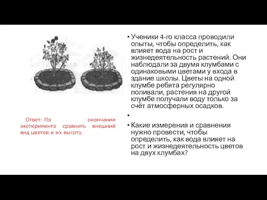 Ученики 4-го класса проводили опыты, чтобы определить, как влияет вода