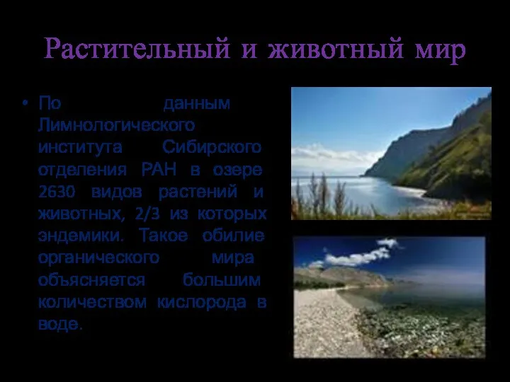Растительный и животный мир По данным Лимнологического института Сибирского отделения