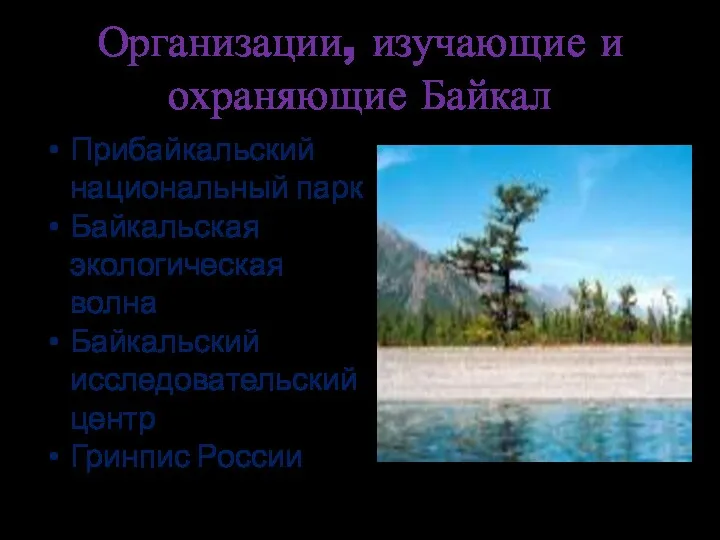Организации, изучающие и охраняющие Байкал Прибайкальский национальный парк Байкальская экологическая волна Байкальский исследовательский центр Гринпис России