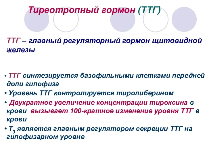 Тиреотропный гормон (ТТГ) ТТГ – главный регуляторный гормон щитовидной железы ТТГ синтезируется базофильными