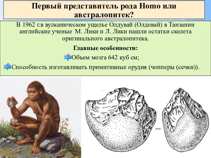 Первый представитель рода Homo или австралопитек? В 1962 г.в вулканическом