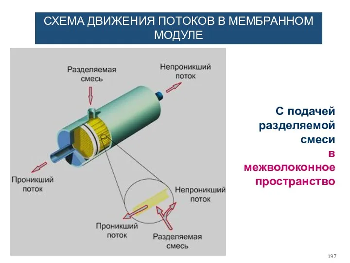 СХЕМА ДВИЖЕНИЯ ПОТОКОВ В МЕМБРАННОМ МОДУЛЕ С подачей разделяемой смеси в межволоконное пространство