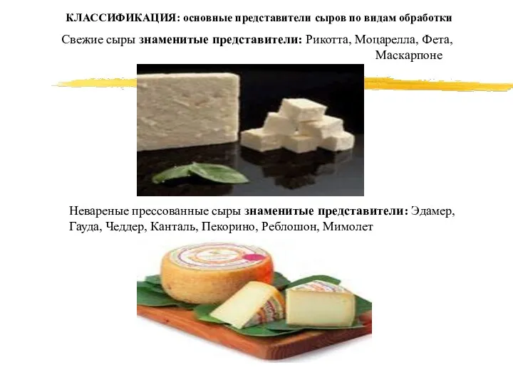 КЛАССИФИКАЦИЯ: основные представители сыров по видам обработки Свежие сыры знаменитые