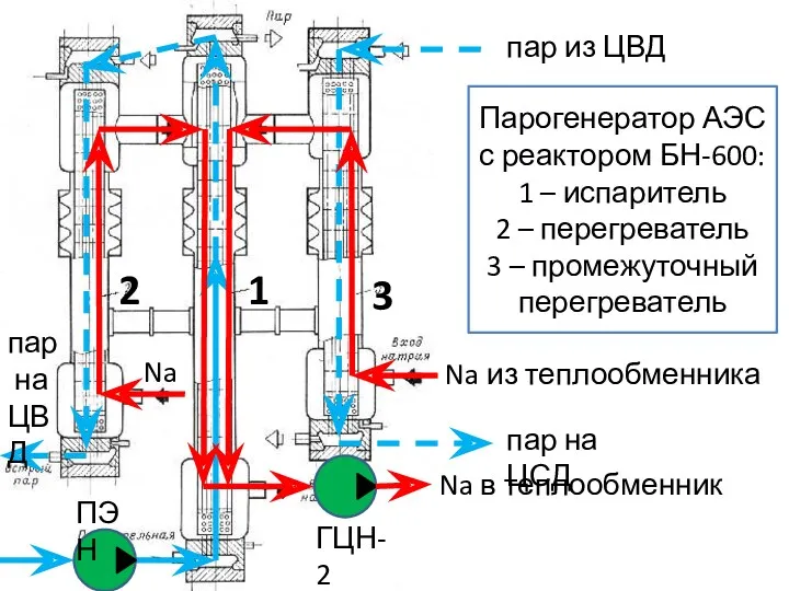 Парогенератор АЭС с реактором БН-600: 1 – испаритель 2 –