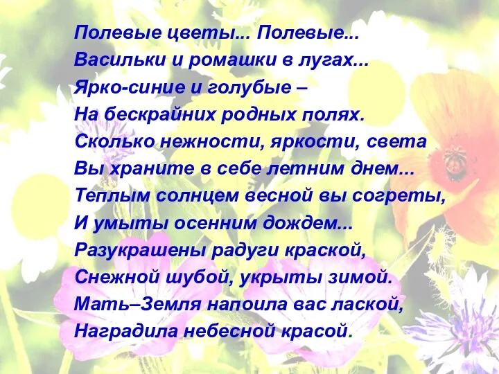 Полевые цветы... Полевые... Васильки и ромашки в лугах... Ярко-синие и