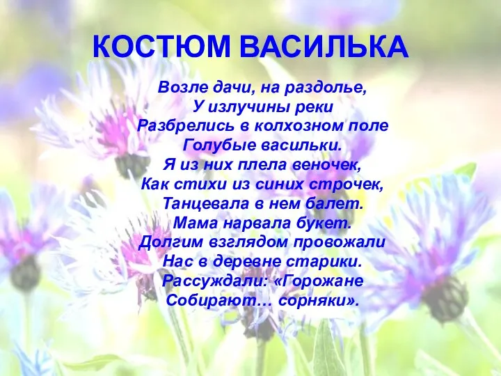 КОСТЮМ ВАСИЛЬКА Возле дачи, на раздолье, У излучины реки Разбрелись