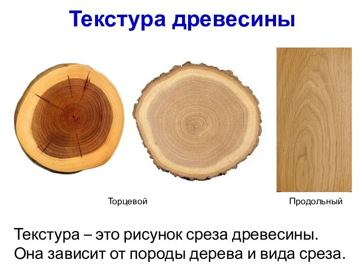 Текстура древесины Текстура – это рисунок среза древесины. Она зависит