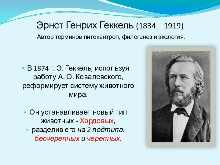 Эрнст Генрих Геккель (1834—1919) Автор терминов питекантроп, филогенез и экология. В 1874 г.