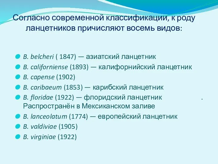 Согласно современной классификации, к роду ланцетников причисляют восемь видов: B. belcheri ( 1847)