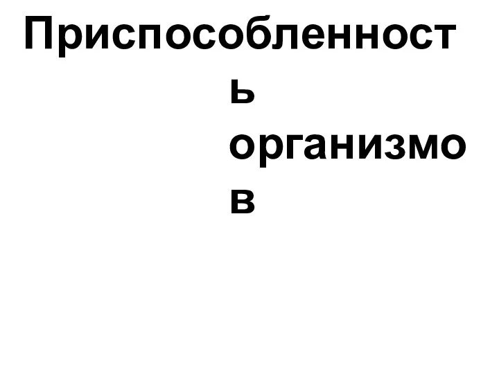 Приспособленность организмов