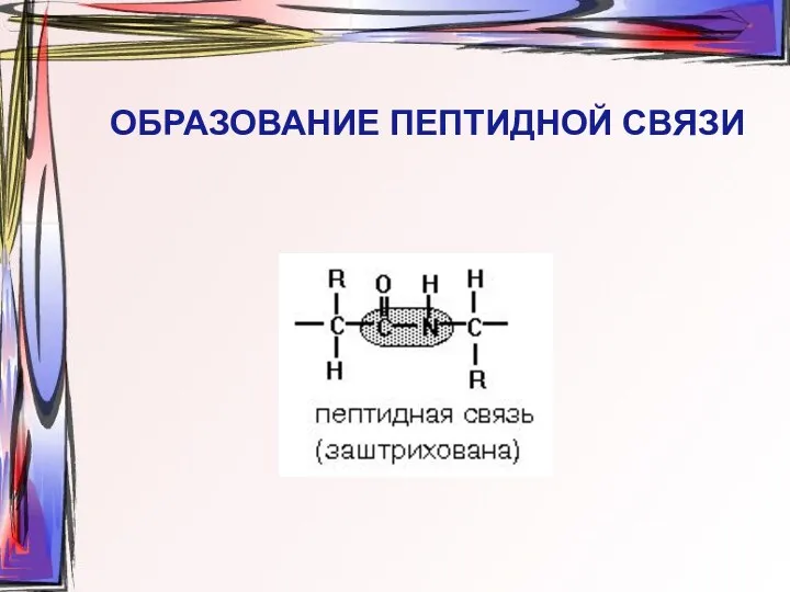 ОБРАЗОВАНИЕ ПЕПТИДНОЙ СВЯЗИ