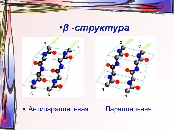 •β -структура Антипараллельная Параллельная