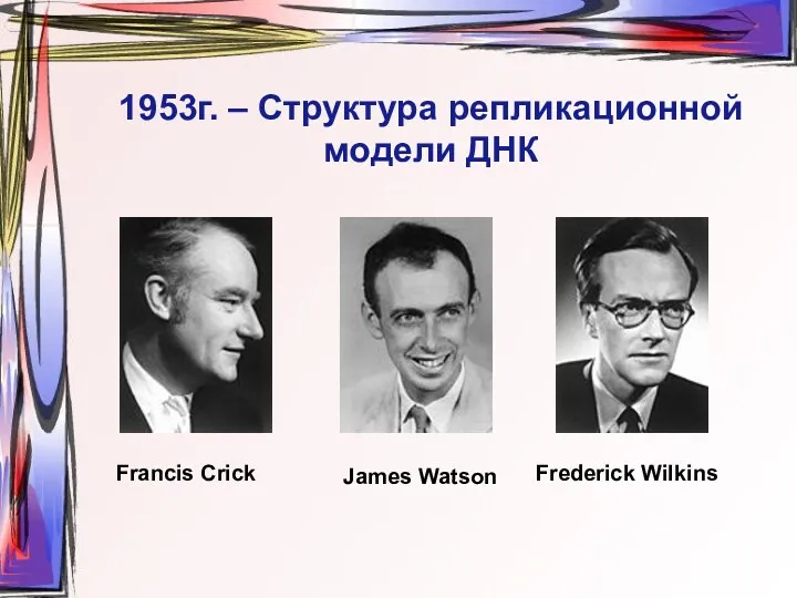 1953г. – Структура репликационной модели ДНК Francis Crick James Watson Frederick Wilkins