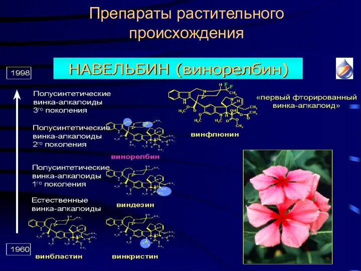 Препараты растительного происхождения