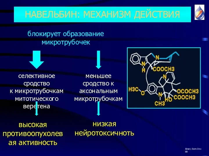 блокирует образование микротрубочек селективное сродство к микротрубочкам митотического веретена меньшее