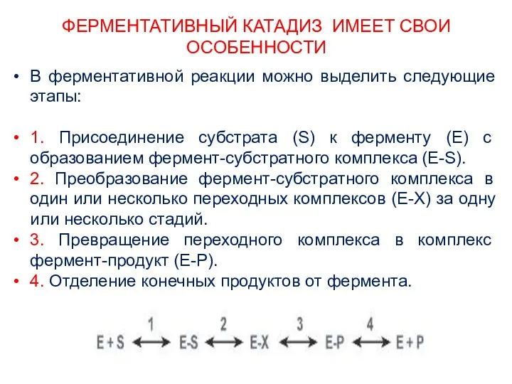 ФЕРМЕНТАТИВНЫЙ КАТАДИЗ ИМЕЕТ СВОИ ОСОБЕННОСТИ В ферментативной реакции можно выделить