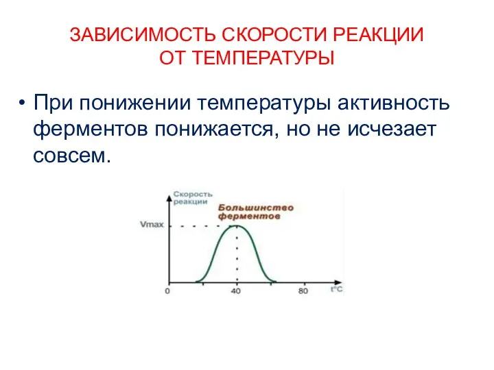 ЗАВИСИМОСТЬ СКОРОСТИ РЕАКЦИИ ОТ ТЕМПЕРАТУРЫ При понижении температуры активность ферментов понижается, но не исчезает совсем.