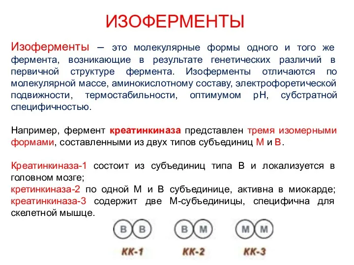 ИЗОФЕРМЕНТЫ Изоферменты – это молекулярные формы одного и того же