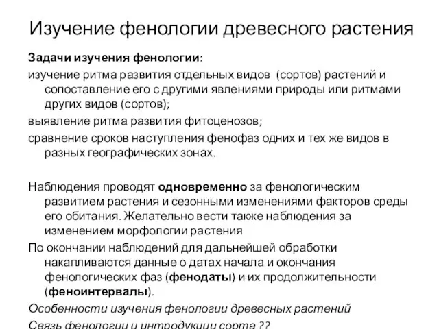 Изучение фенологии древесного растения Задачи изучения фенологии: изучение ритма развития