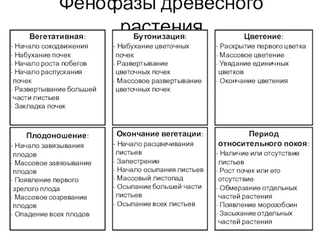 Фенофазы древесного растения Вегетативная: Начало сокодвижения Набухание почек Начало роста