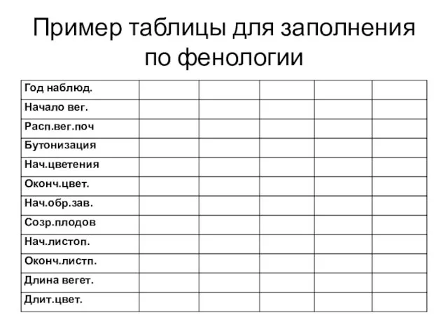 Пример таблицы для заполнения по фенологии