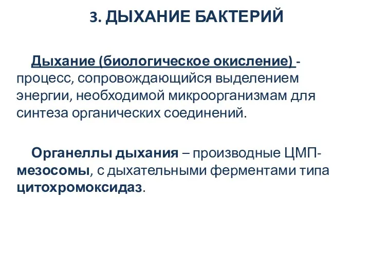 3. ДЫХАНИЕ БАКТЕРИЙ Дыхание (биологическое окисление) - процесс, сопровождающийся выделением