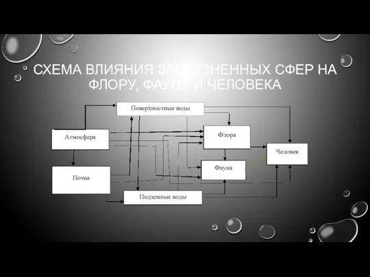 СХЕМА ВЛИЯНИЯ ЗАГРЯЗНЕННЫХ СФЕР НА ФЛОРУ, ФАУНУ И ЧЕЛОВЕКА