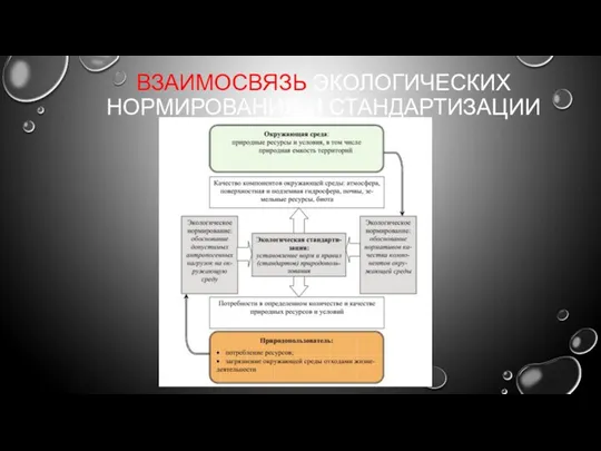 ВЗАИМОСВЯЗЬ ЭКОЛОГИЧЕСКИХ НОРМИРОВАНИЯ И СТАНДАРТИЗАЦИИ